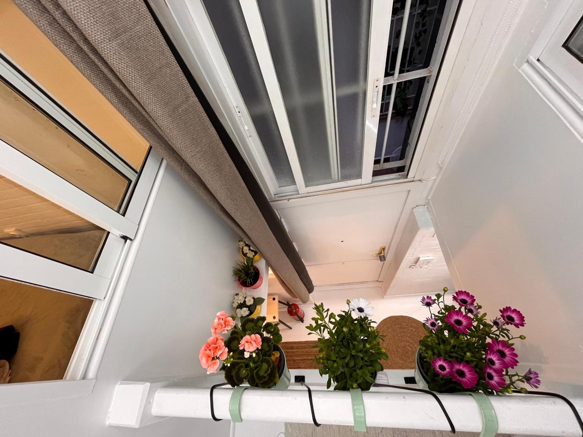 Mini Duplex4 Plaza Mayor مدريد المظهر الخارجي الصورة
