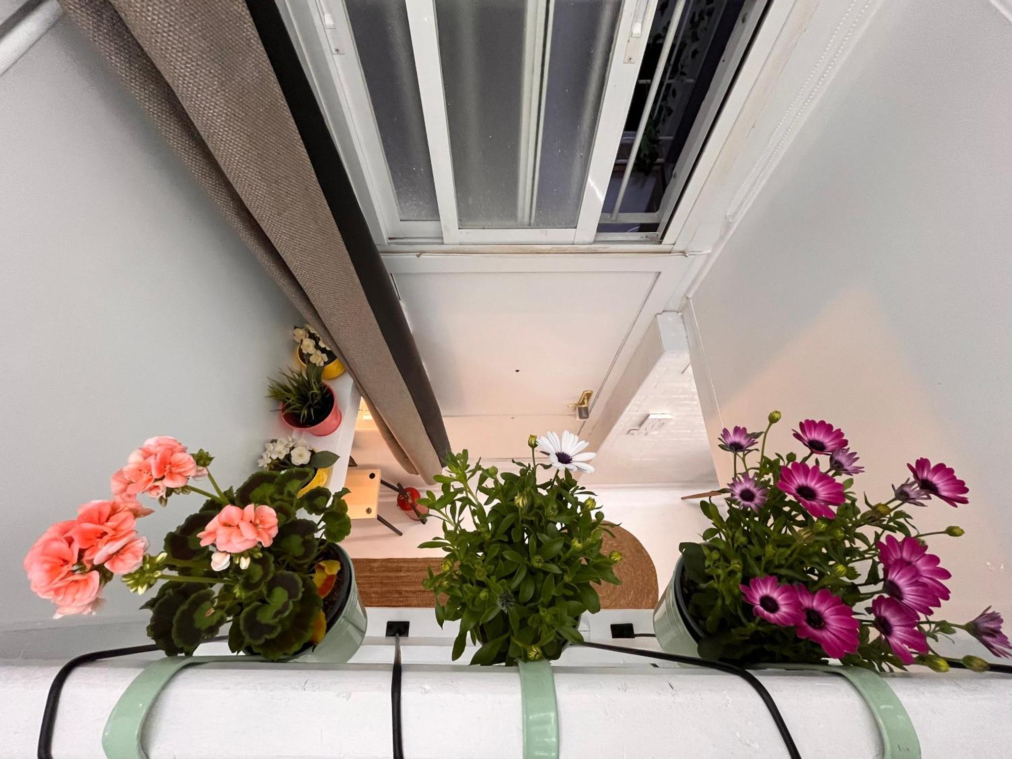 Mini Duplex4 Plaza Mayor مدريد المظهر الخارجي الصورة